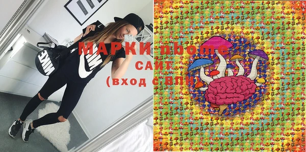 прущие грибы Аркадак