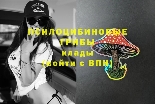 сатива Арсеньев