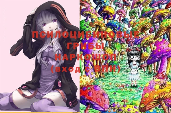 спиды Алексин