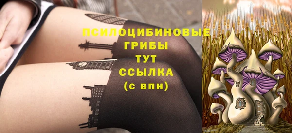 дурь Алзамай