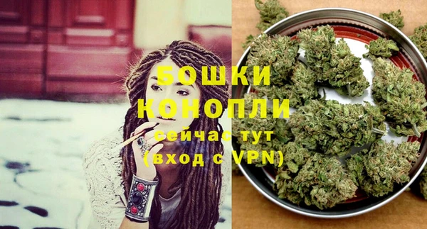 прущие грибы Аркадак