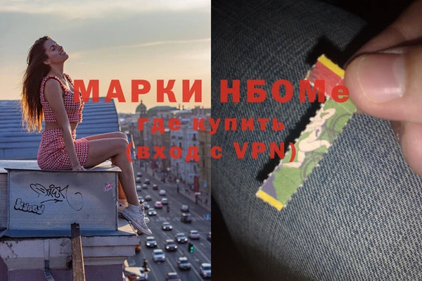 сатива Арсеньев